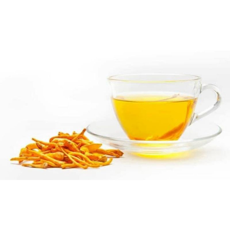 Nấm đông trùng hạ thảo 15g Hogi Nguyên chất 100% - Bổ thận tráng dương, nâng cao sức đề kháng