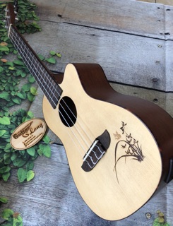 Đàn Ukulele Concert Ortega MTE-CB25