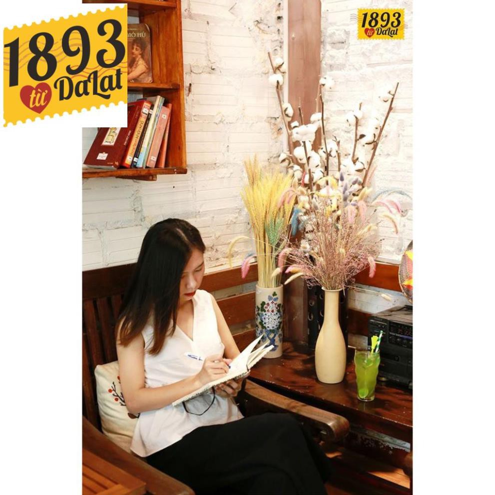 TRÀ NGỦ NGON GOODNIGHT HŨ NHỎ ( Thư giãn - Ngủ Ngon ) | BigBuy360 - bigbuy360.vn