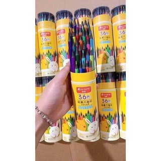 BÚT CHÌ MÀU PESING 36 CÂY
