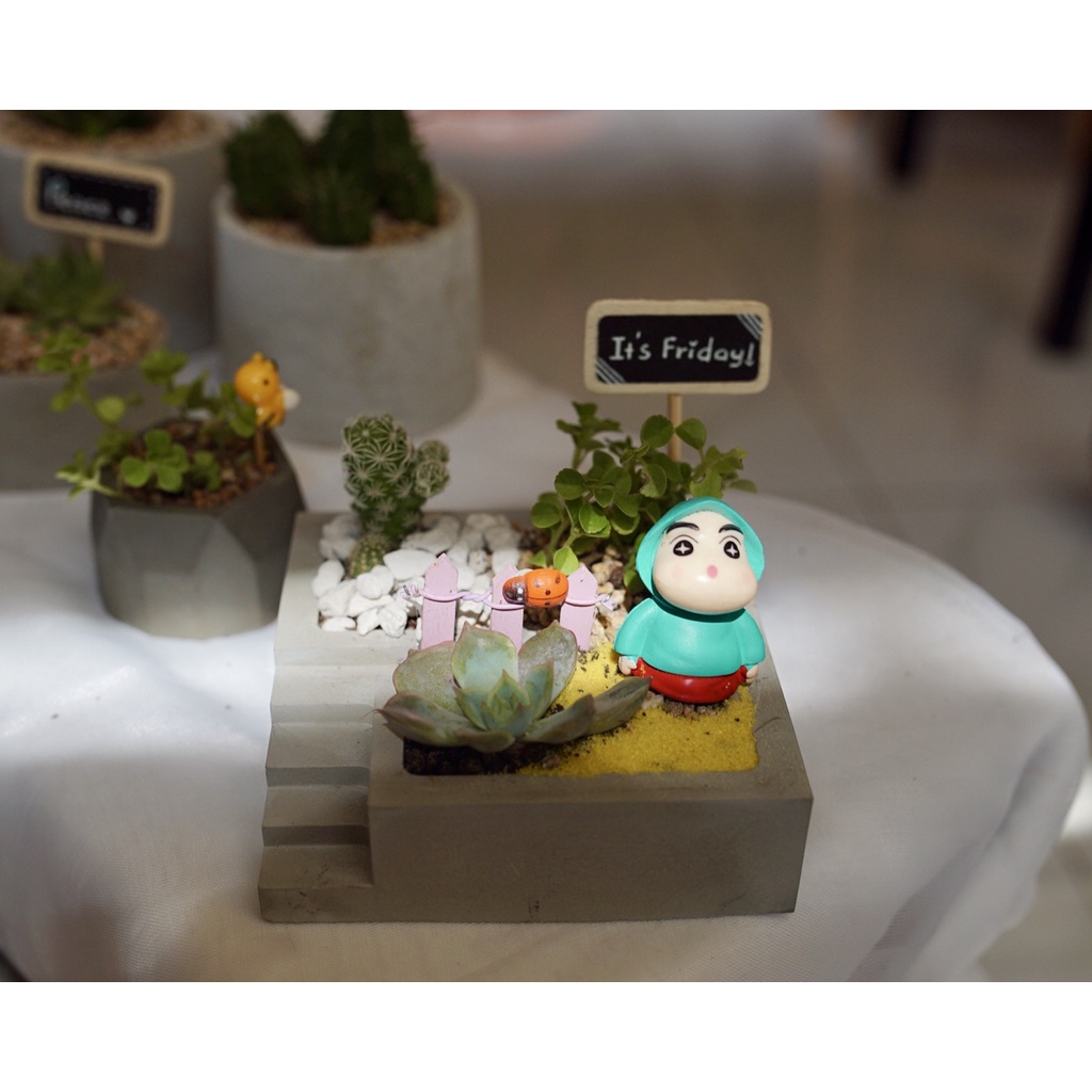 Chậu cây sen đá hình hồ bơi bậc thang