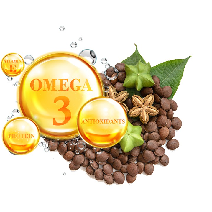 Dầu Sachi Nguyên Chất 175ml Giàu Omega-3, 6, 9