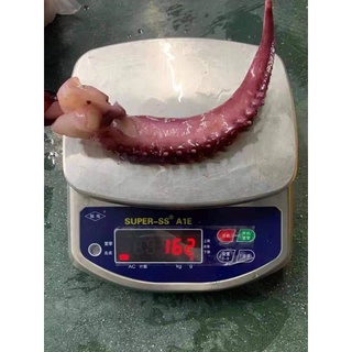 RÂU BẠCH TUỘC KHỔNG LỒ