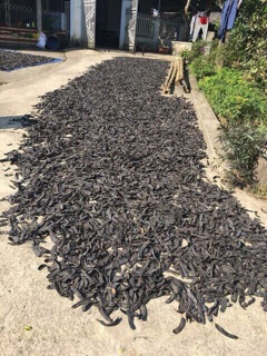 Bồ kết 1kg
