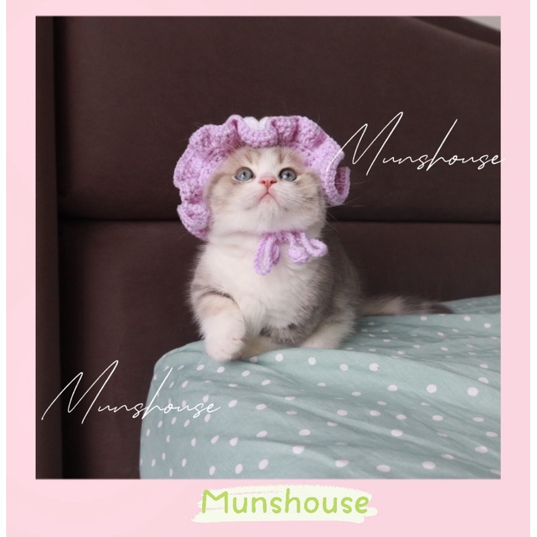 Mũ len tai bèo cho chó mèo