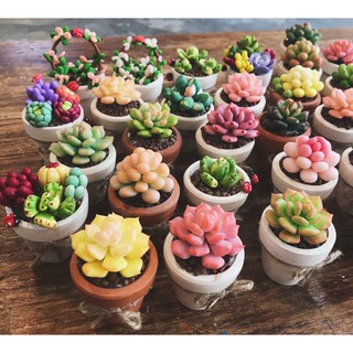 Sen đá Handmade [ĐẤT SÉT NHẬT CAO CẤP] Đẹp - Bền - Giá tốt