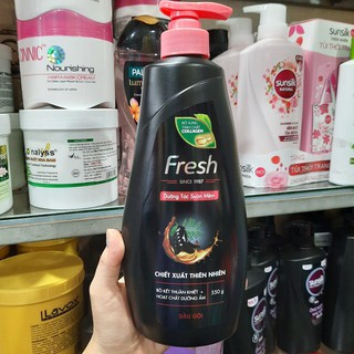 Dầu Gội Fresh Bồ Kết - Bổ Sung Tinh Chất Collagen 550g