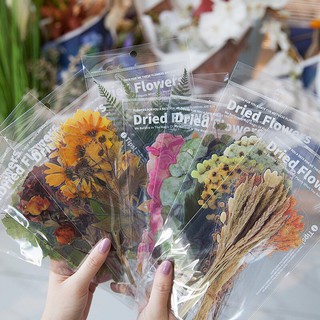 Hoa Lá Khô Dried Flowers Ép nhựa PVC Hình Dán Hoa trang trí sổ, Phòng
