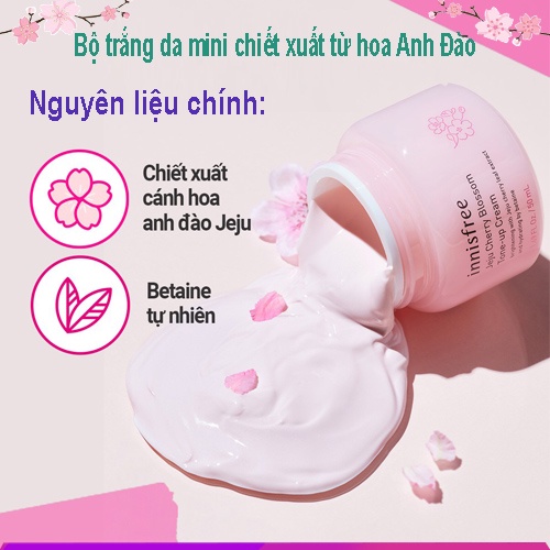 Bộ Dưỡng Da Innisfree Mini Chiết Xuất Từ Hoa Anh Đào Jeju Cherry Blossom Kit