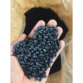 1kg ĐẬU ĐEN XANH LÒNG QUÊ NGUYÊN HẠT THƠM BỞ- dùng nấu chè