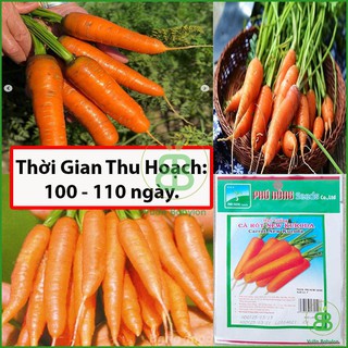 Hạt Giống Cà Rốt , Cao Sản, Giàu Dinh Dưỡng, Dễ Trồng, Năng Suất Cao Phú Nông - Gói 2G