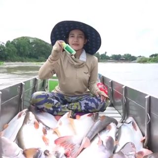 TINH MÙI CÂU CÁ TRA THAILAND MAYME