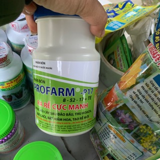 Ra rễ cực mạnh 500gr