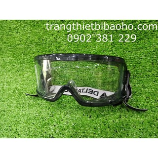 Kính chống hóa chất Deltaplus Galeras Clear dẻo trong