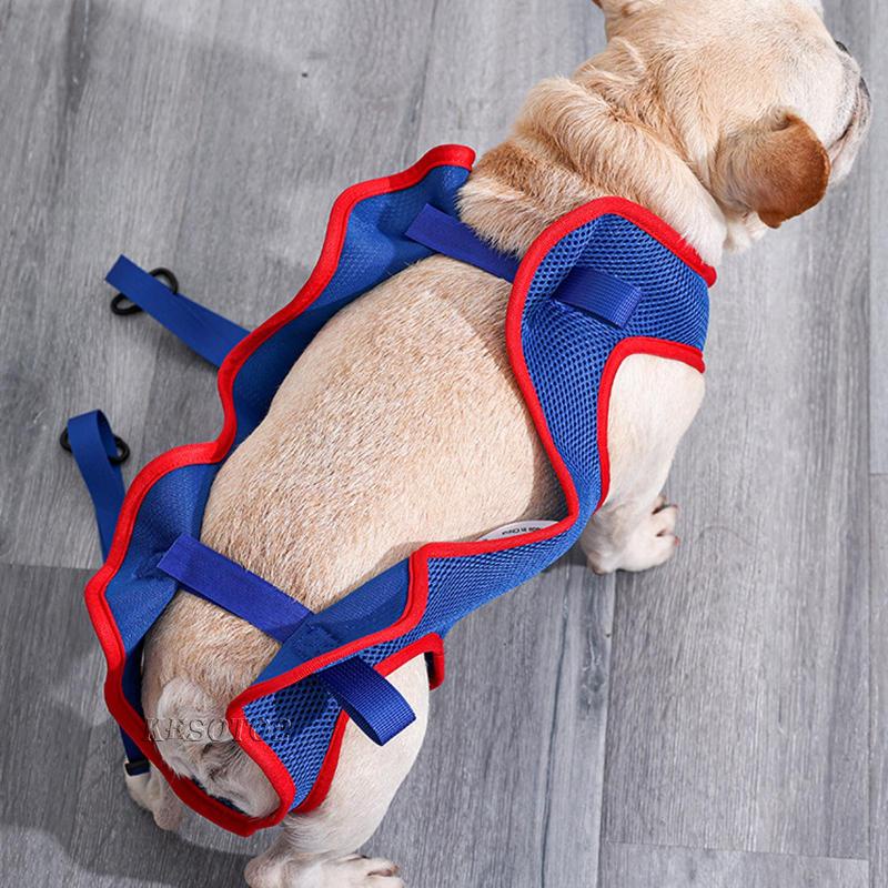 [Kesoto2] Giá Đỡ Treo Võng Thoáng Khí Để Chăm Sóc Móng Chó Mèo