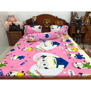 Drap thun hàn quốc