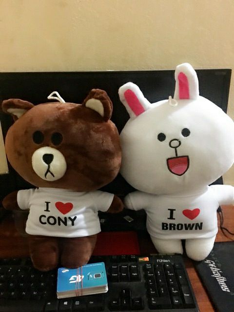 Cặp đôi gấu bông gấuu Brown và thỏ Cony siêu dễ thương 💋