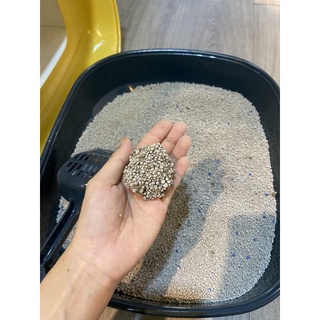Cát nhật Min