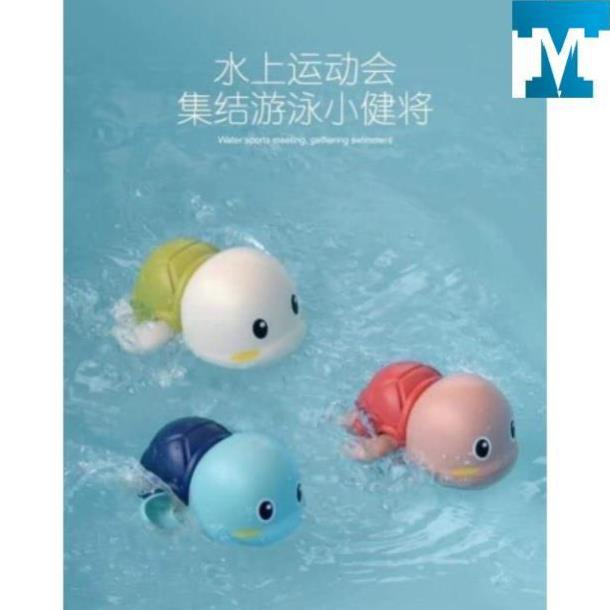 Rùa cót bơi dưới nước