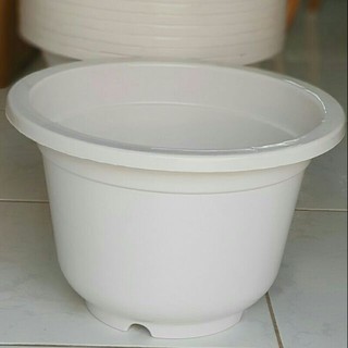 - Chậu nhựa trồng hoa cây cảnh cty chính hãng.