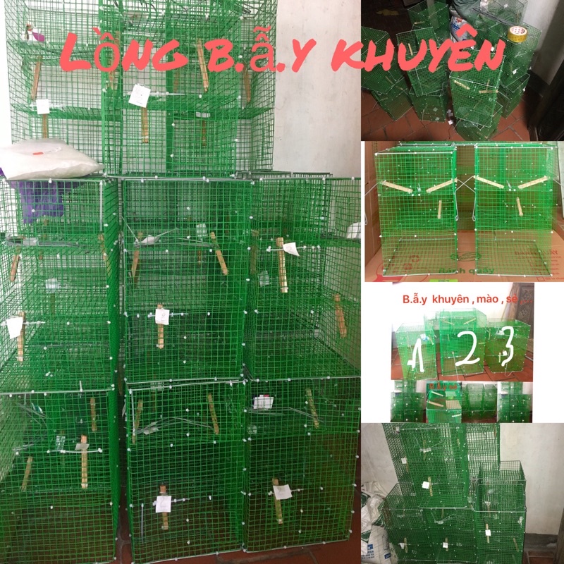 Lồng Bẫy Chim Khuyên Tự Động