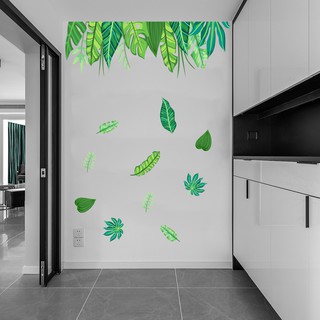 Decan Dán Tường An Phú Decor Rừng Nhiệt Đới