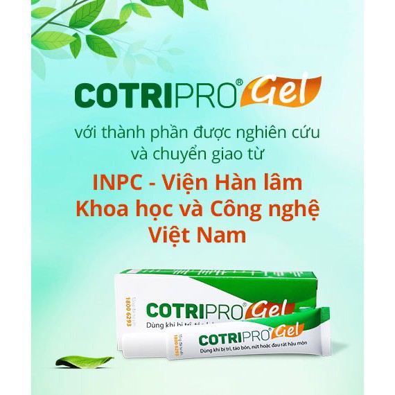 COTRIPRO gel 10g kem bôi trĩ