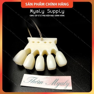 Móng Que Tập Sơn Tập Vẽ Móng Que Vương Miện