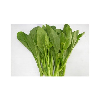 CẢI NGỌT BÔNG ( CẢI NGỒNG BÔNG ) CN-59