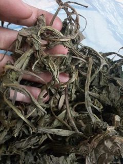 Bồ công anh loại sạch đẹp (1kg)