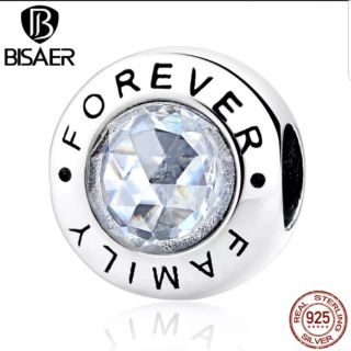 Charm Bạc S925 - Forever Family