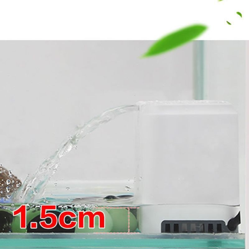Máy lọc nước mini cho rùa cảnh size baby 🐢