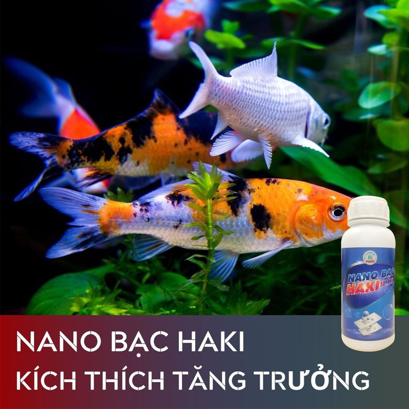 Nano Bạc Haki  đặc trị các bệnh và phòng bệnh cá cảnh, xử lý nước hồ cá bị nấm