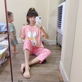 Set thú áo thun + quần thô