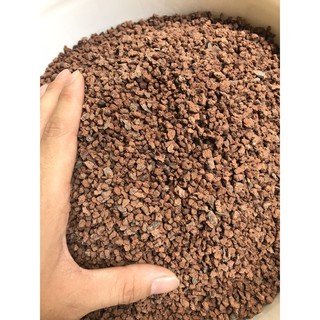 Nham thạch vụn trải nền bể cá