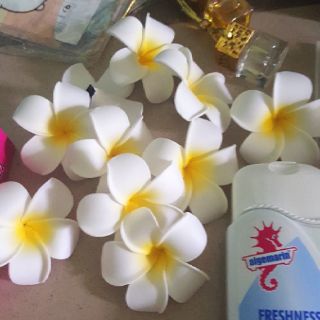 Sữa tắm cá ngựa