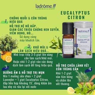 Tinh Dầu Organic Eucalyptus Citronné