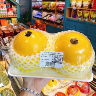 Cây giống vú sữa hoàng kim nhập khẩu