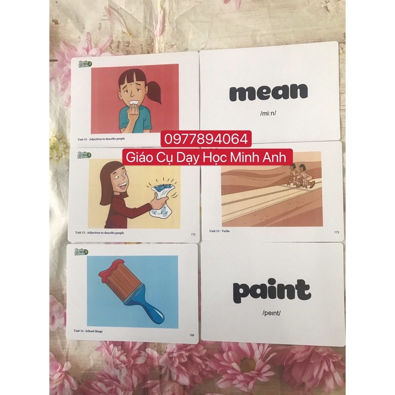 Flashcards  Family and Friends 3 phiên bản 1st ☘️ thiết  kế 2 mặt kèm phiên âm ☘️Chất liệu C300 cán bóng☘️