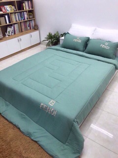Bộ chăn ga gối Đũi 5 món (ga chun chăn trần bông y ảnh)