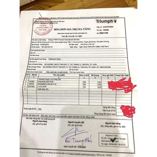 Áo Lót Nữ Triumph Maximizer 039 MVT 02