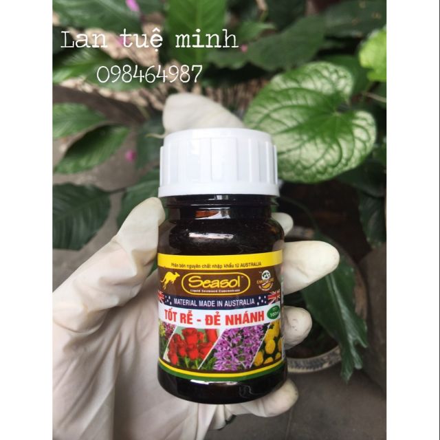 SEASOL Phân Tảo Biển Siêu Ra Rễ mới cực nhạy