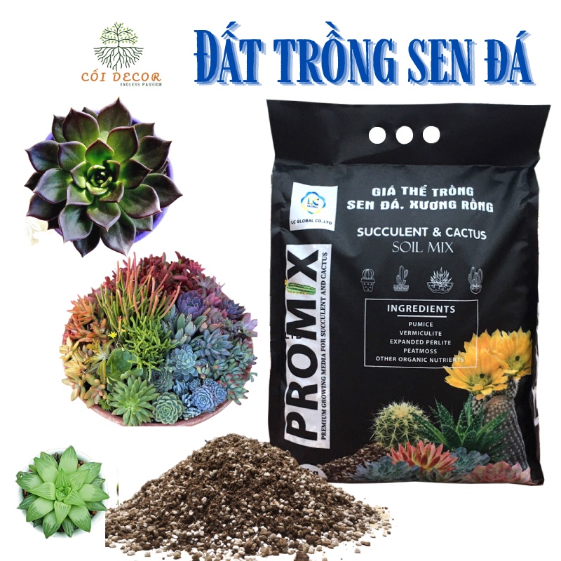 Đất trồng sen đá Promix cao cấp nhiều thành phần pumice, Vermiculite, perlite, peatmoss... triết lẻ