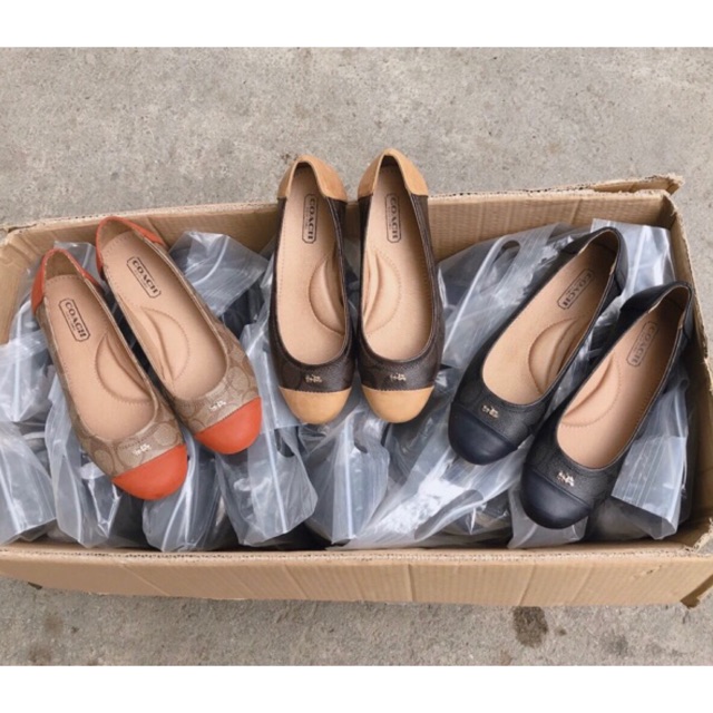 ‼️Rẻ nhất Shopee‼️Giày búp bê C.oach