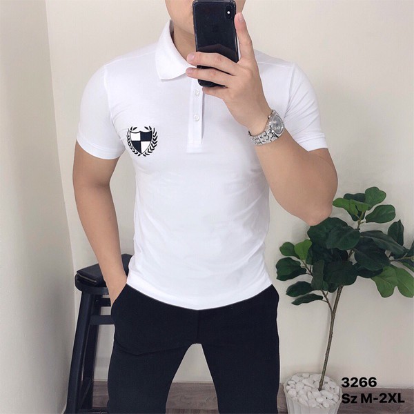 Áo Phông Nam Có Cổ bẻ Tay Ngắn Thun Cotton Polo Nam đẹp Cao Cấp giá rẻ | BigBuy360 - bigbuy360.vn