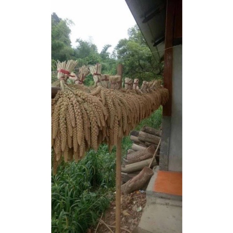 1kg bông kê cho chim