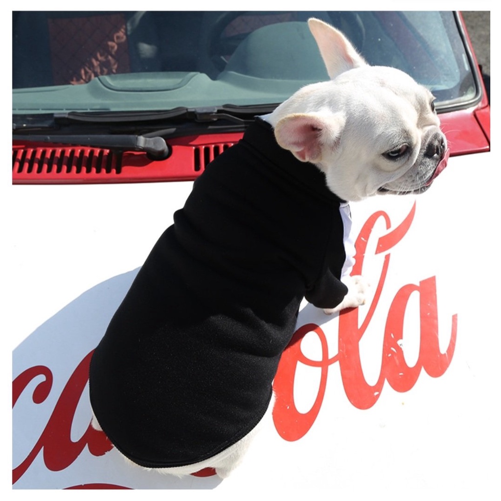 Áo Nỉ Kéo Khóa Phong Cách Thể Thao Kool Ngầu - Áo cho Chó Mèo Thú Cưng - Hàng Loại 1 Xịn Xò