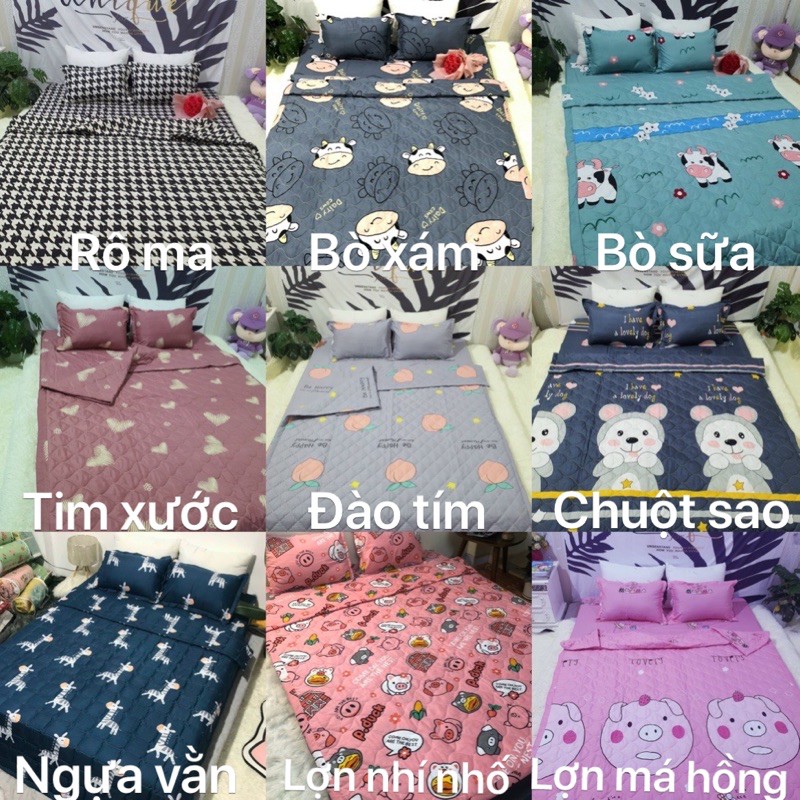 Chăn hè ( mền ) COTTON POLY trần bông 3 lớp, chat chọn mẫu