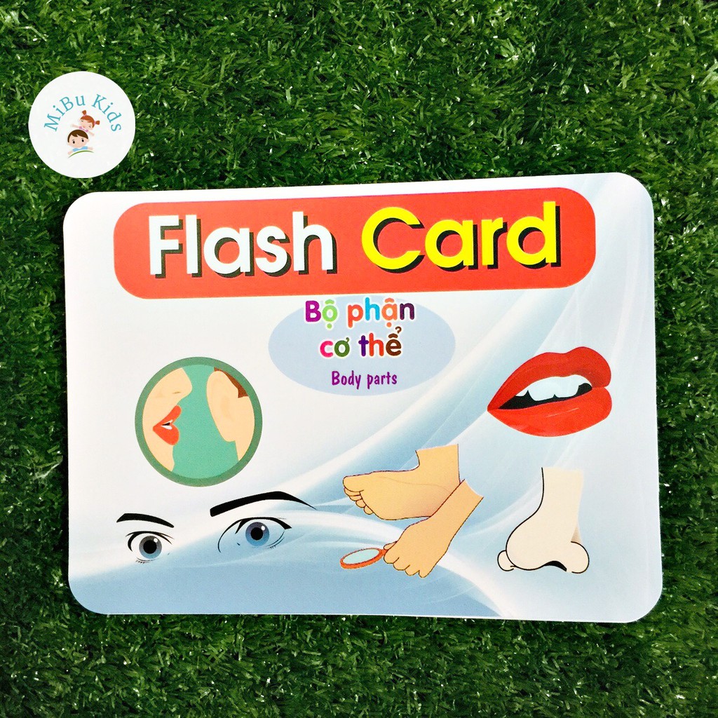 Flashcard Glenn Doman - Bộ Phận Cơ Thể