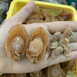 Bào Ngư 30gram